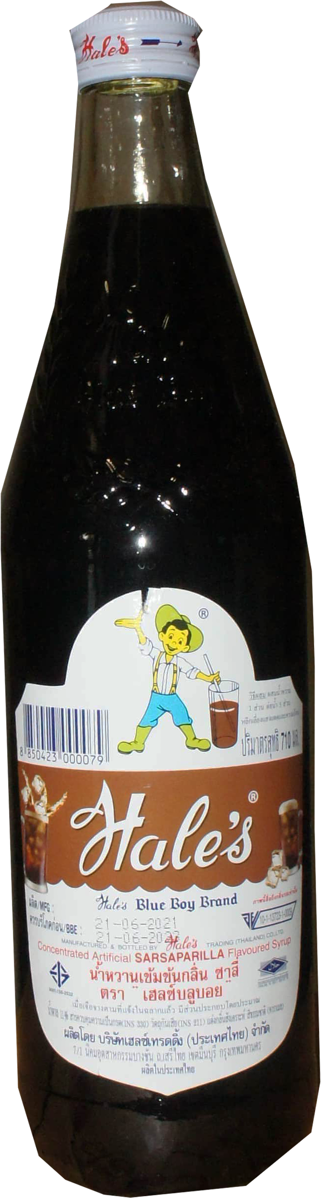 HALES SYRUP SARSAPARILLA